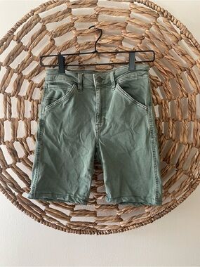 American Eagle Olive Green Casual Shorts